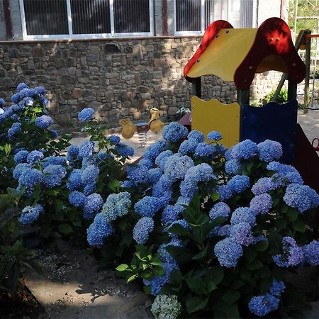 Hotel Gomar San Martín de Moncayo Εξωτερικό φωτογραφία